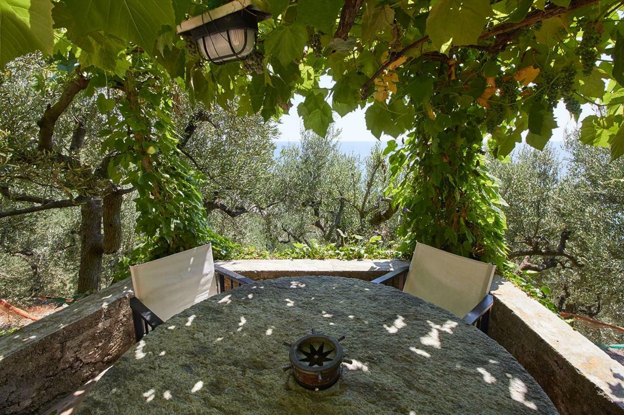 Villa Vista Mare Il Cipressetto Вариготи Екстериор снимка