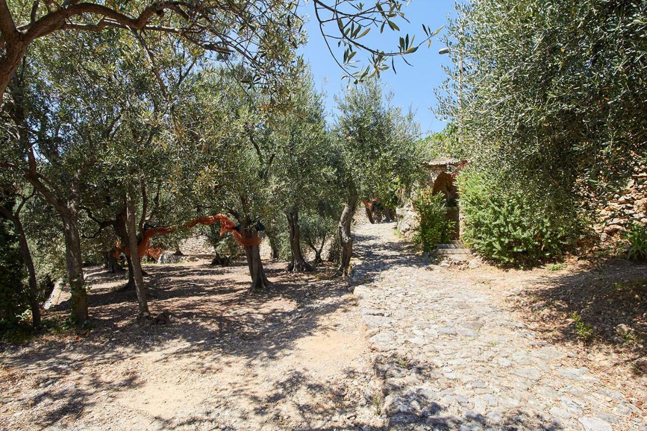 Villa Vista Mare Il Cipressetto Вариготи Екстериор снимка