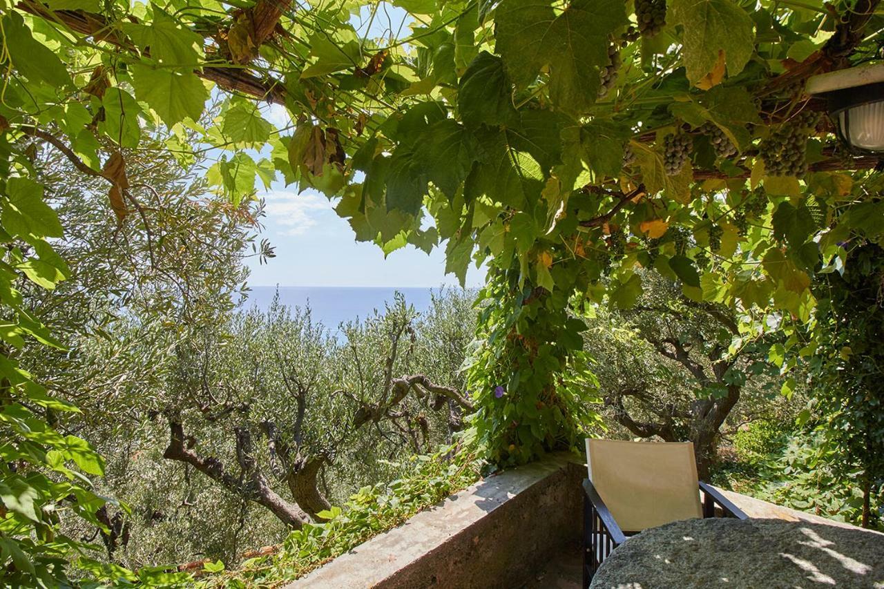 Villa Vista Mare Il Cipressetto Вариготи Екстериор снимка